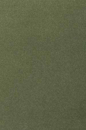 Ковровое покрытие AW Oinone 24 - (4м) в Казани