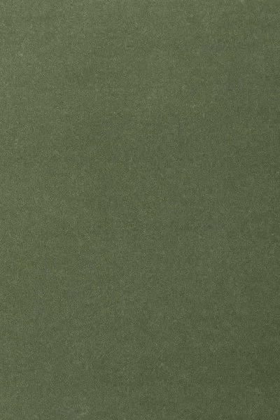 Ковровое покрытие AW Oinone 24 - (4м) в Казани