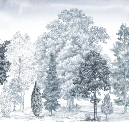 Обои Loymina Пейзаж vol. 2 ART14 006 в Казани