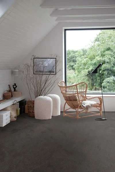 Ковровое покрытие AW Ganges 99 - (4м) в Казани