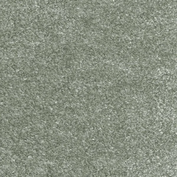 Ковровое покрытие AW Euphoria 28 - (5м) в Казани