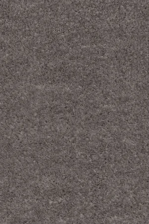 Ковровое покрытие AW Euphoria 45 - (4м) в Казани