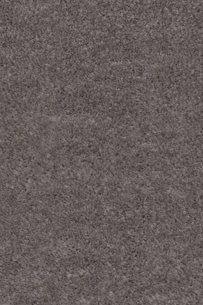 Ковровое покрытие AW Euphoria 45 - (4м) в Казани