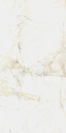 Керамогранит Coliseum Канова Уайт 60х120 (Натуральный и Реттифицированный) в Казани