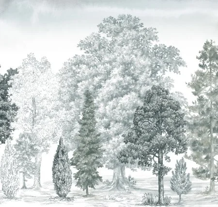 Обои Loymina Пейзаж vol. 2 ART14 011 в Казани