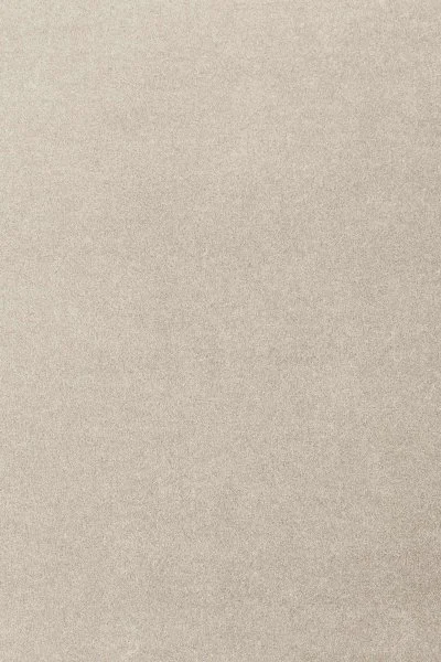 Ковровое покрытие AW Oinone 39 - (4м) в Казани