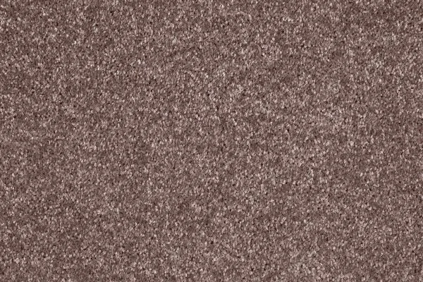 Ковровое покрытие AW Gala 60 - (5м) в Казани