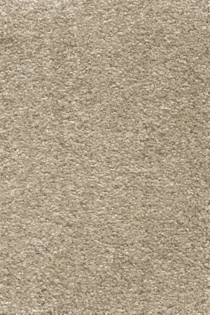 Ковровое покрытие AW Omnia 33 - (4м) в Казани