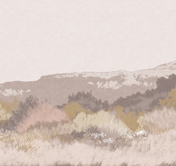 ART17 002 (вблизи)