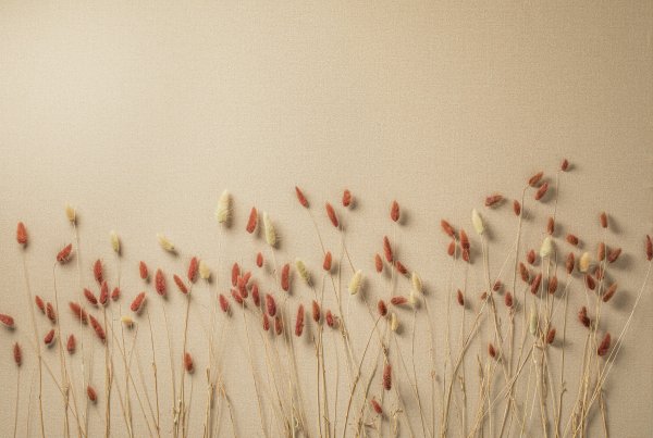 SDR3_012-2_OH9A1053++RGB