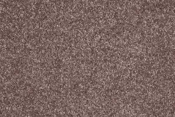 Ковровое покрытие AW Gala 60 - (5м) в #REGION_NAME_DECLINE_PP#